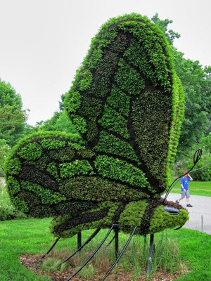 Топиари – скульптуры из зелени и кустарников | Новорижская деревенька