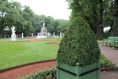 Топиарное озеленение · Администрация города Ливны