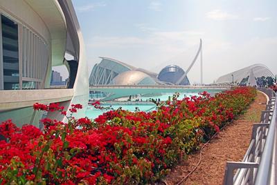 Город искусств и наук\" - фантастический архитектурный комплекс от Сантьяго  Калатравы | ARCHITIME.RU