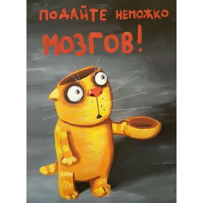 Вася Ложкин в Нижнем Новгороде рассказал о котах и личной жизни - МК Нижний  Новгород