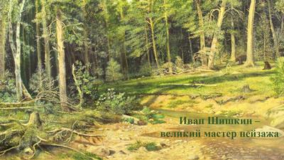Сочинение по картине И.И.Шишкина «Папоротники в лесу» | Открытые ладони